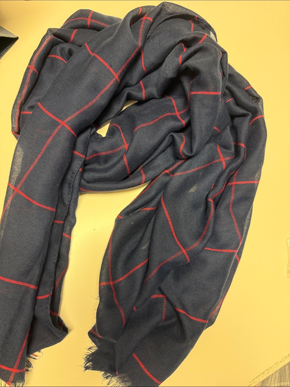Navy Scarf with Red Windowpane Grid